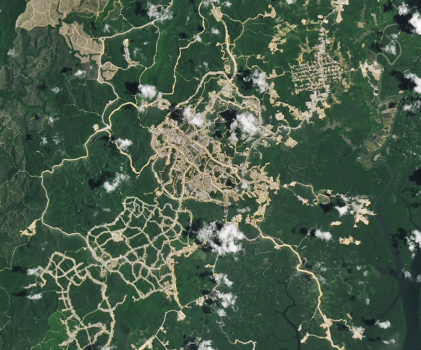 Building a capital in the forest