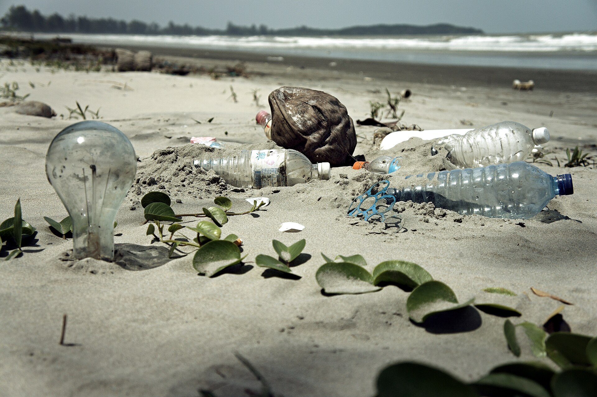 The pollution we see—and the pollution we outsource